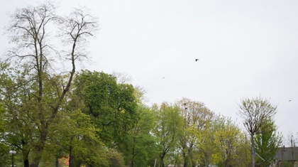 Ostrów Mazowiecka - Dziś w naszym regionie pojawi się sporo chmur, okresami spad