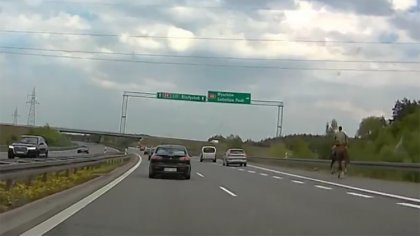 Ostrów Mazowiecka - Niecodzienny widok spotkał kierowców jadących krajową 