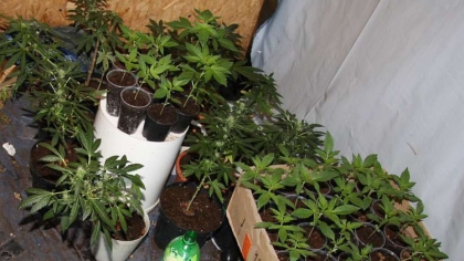 Ostrów Mazowiecka - Ostrowscy kryminalni, wspierani przez funkcjonariuszy z Rado