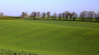 Ostrów Mazowiecka - Do najbliższego poniedziałku można składać wnioski o przyzna