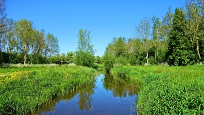 Ostrów Mazowiecka - Niebawem ruszają konkursy Krajowej Sieci Obszarów Wiejskich 
