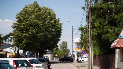 Ostrów Mazowiecka - Poniedziałek w powiecie ostrowskim będzie słoneczny. Tempera