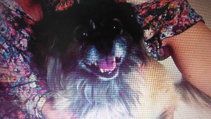 Ostrów Mazowiecka - Przy drodze ekspresowej S8 w pobliżu Ostrowi Mazowieckiej zn