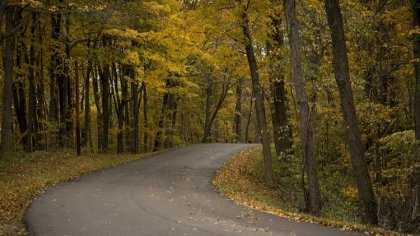 Ostrów Mazowiecka - Polska złota jesień, mimo ciepłej palety barw, dla użytkowni