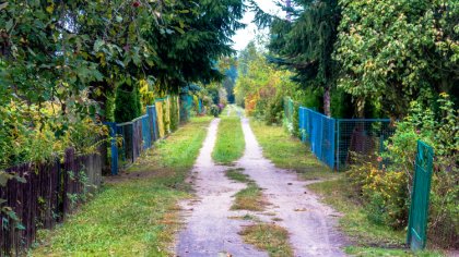 Ostrów Mazowiecka - 78 rodzinnych ogródków działkowych otrzyma wsparcie z budżet