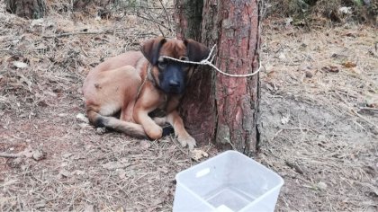 Ostrów Mazowiecka - Do fundacji 