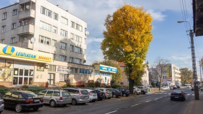 Ostrów Mazowiecka - 1 listopada zapowiada się słonecznie w całym województwie a 