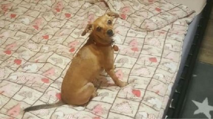 Ostrów Mazowiecka - Dziś między godz. 14.30 a 16.00 w okolicach ul. 11 Listopada