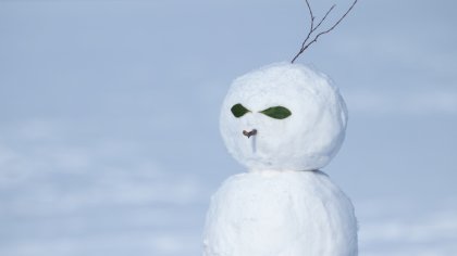 Ostrów Mazowiecka - Pogoda nas ostatnio nie rozpieszcza, pada śnieg, temperatura