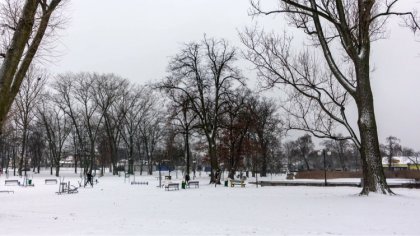Ostrów Mazowiecka - We wtorek mogą pojawić się słabe opady śniegu do 1-2 cm. Syn
