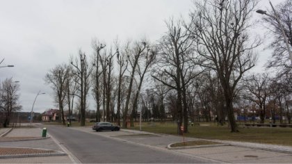 Ostrów Mazowiecka - W czwartek będzie pogodnie. Temperatura maksymalna wyniesie 