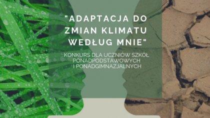 Ostrów Mazowiecka - Wzrost niskiej emisji, spalanie paliw kopalnych czy wycinka 