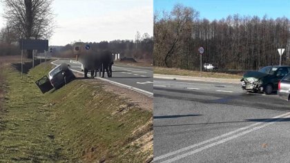 Ostrów Mazowiecka - Do zderzenia dwóch pojazdów doszło dziś rano w Treblince (gm