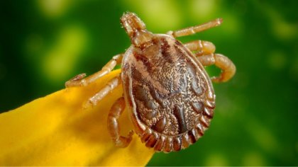 Ostrów Mazowiecka - Wakacje to szczególny czas, który kojarzy się z odpoczynkiem