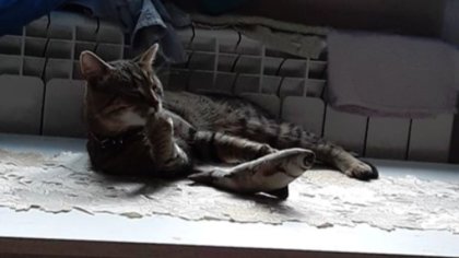 Ostrów Mazowiecka - Jedna z naszych czytelniczek zwróciła się z prośbą o zamiesz