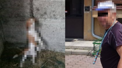 Ostrów Mazowiecka - Prokuratura Rejonowa w Ostrołęce zakończyła postępowanie prz