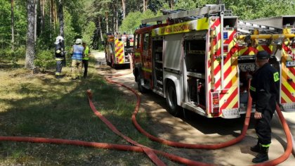 Ostrów Mazowiecka - Na terenie nadleśnictwa Wyszków w miejscowości Wiśniewo we w