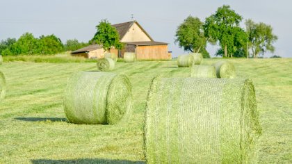 Ostrów Mazowiecka - W trakcie szkolenia przeprowadzonego przez Mazowiecki Ośrode