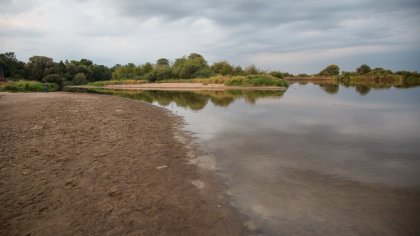 Ostrów Mazowiecka - Brak opadów i długo utrzymujące się wysokie temperatury powo