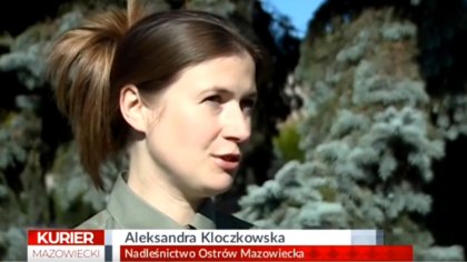 Ostrów Mazowiecka - Polacy lubią chodzić na grzyby, ale czy każdy potrafi odpowi