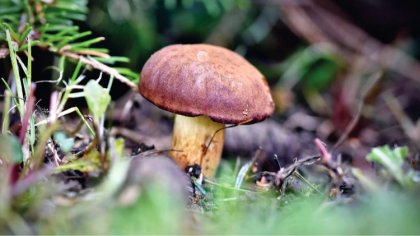 Ostrów Mazowiecka - Październik jest miesiącem, kiedy w pełni rozpoczął się sezo