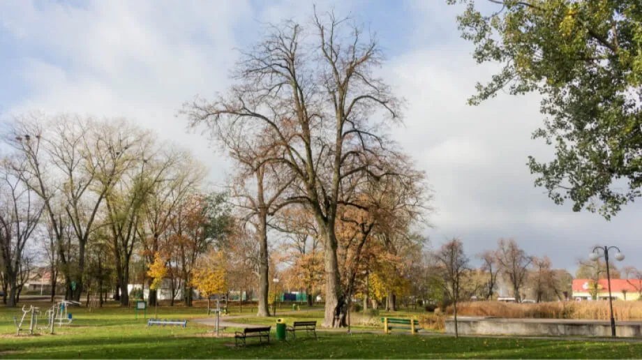 Niedziela będzie dość pogodna. Tylko na zachodzie pojawią się przelotne opady deszczu. Temperatura maksymalna wyniesie od 11 st. C na Pomorzu 