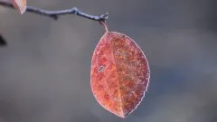 Lodowata noc przed nami. Termometry pokażą minusowe wartości