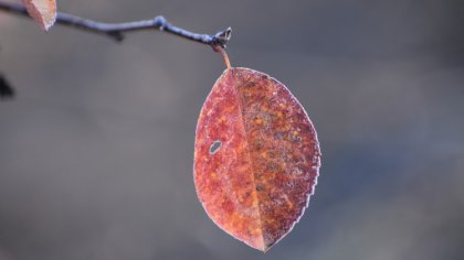 Ostrów Mazowiecka - Instytut Meteorologii i Gospodarki Wodnej wydał ostrzeżenie 