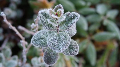 Ostrów Mazowiecka - Instytut Meteorologii i Gospodarki Wodnej wydał ostrzeżenie 