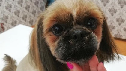 Ostrów Mazowiecka - Już za niespełna dwa tygodnie, 30 listopada, w Małkini Górne