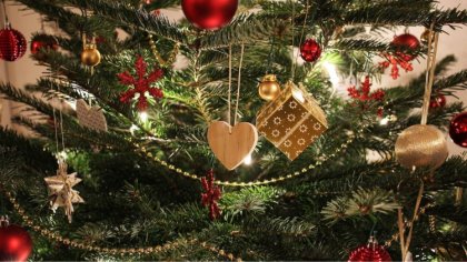 Ostrów Mazowiecka - Zachęcamy do nadsyłania zdjęć swoich świątecznych drzewek. W