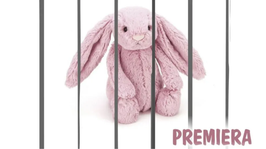 Fot. archiwum organizatora