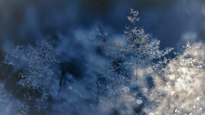 Ostrów Mazowiecka - Za nami kolejna mroźna noc. Słupki termometrów spadają niżej