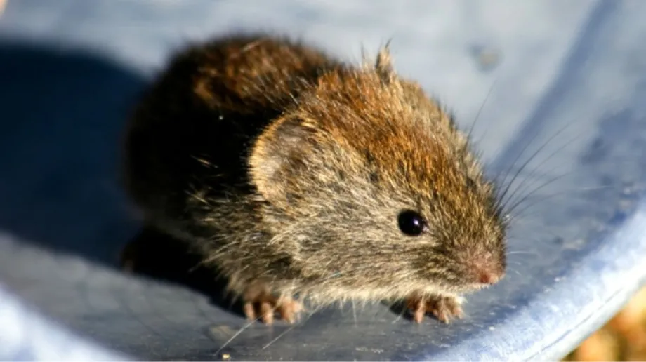 Zdjęcie ilustracyjne