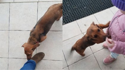 Ostrów Mazowiecka - Od rana przy ostrowskim przedszkolu przy ulicy Warszawskiej 