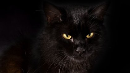 Ostrów Mazowiecka - Dziś wypada pierwszy w tym roku piątek trzynastego. Z feraln