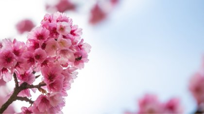 Ostrów Mazowiecka - Piątek 20 marca to nie tylko początek weekendu, ale też pier