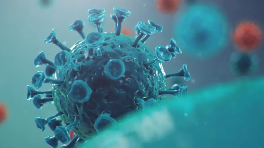 Zdjęcie ilustracyjne