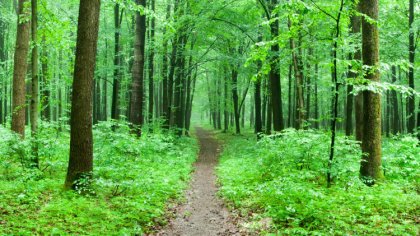 Ostrów Mazowiecka - Jak poinformował minister środowiska, możemy liczyć na to, ż
