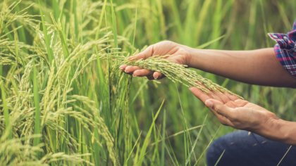 Ostrów Mazowiecka - Zwolnienie z obowiązku opłacania składek emerytalno-rentowyc