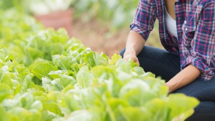 Ostrów Mazowiecka - Od 9 do 30 września 2020 r. Agencja Restrukturyzacji i Moder