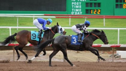 Ostrów Mazowiecka - Idea zakładów bukmacherskich znana jest od wielu lat. Już w 
