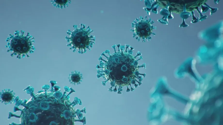 Zdjęcie ilustracyjne