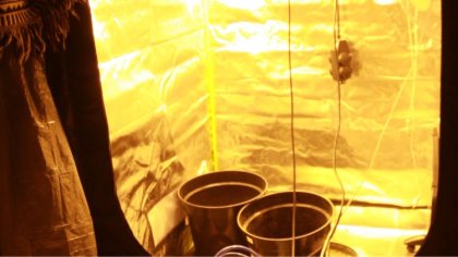 Ostrów Mazowiecka - Ostrowscy policjanci zatrzymali 44-letniego ostrowianina. Na