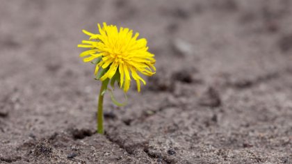 Ostrów Mazowiecka - Dzięki wsparciu samorządu Mazowsza, na terenie całego wojewó