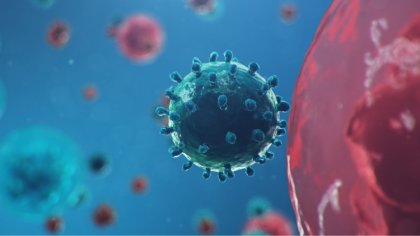 Ostrów Mazowiecka - W ciągu ostatniej doby w powiecie ostrowskim liczba przypadk