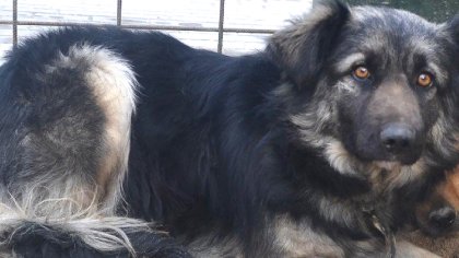 Ostrów Mazowiecka - Burmistrz Jerzy Bauer spotkał się z przedstawicielkami Funda