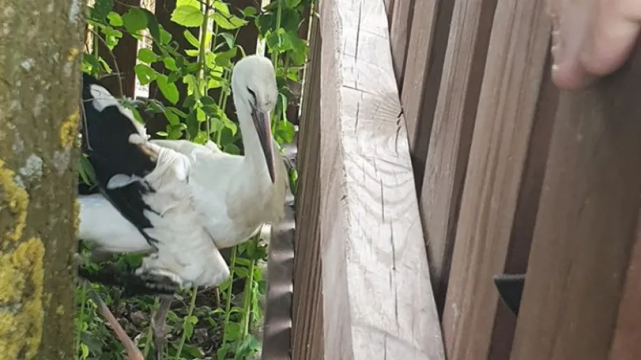 Fot. FB KSRG OSP Andrzejewo