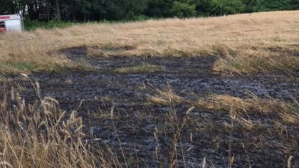 Ostrów Mazowiecka - Strażacy z po raz kolejny w akcji. Tym razem zostali wezwani