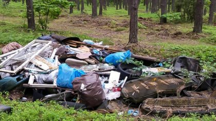Ostrów Mazowiecka - Podmiejskie lasy w Ostrowi Mazowieckiej proszą o pomoc. Wyro
